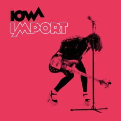 Обложка трека "Мои Стихи Твоя Гитара - IOWA"