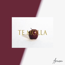 Обложка трека "Te Molla - ARNON"