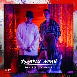 Обложка трека "Разбуди Меня - TANIR & TYOMCHA"