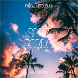 Обложка трека "Palm Springs - Pascal LETOUBLON"