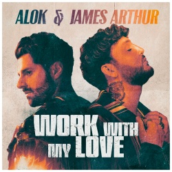 Обложка трека "Work With My Love - ALOK"