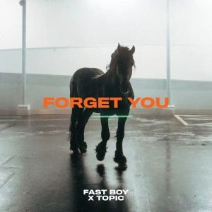 Обложка трека "Forget You - FAST BOY"