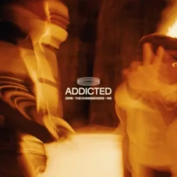 Обложка трека "Addicted - ZERB"
